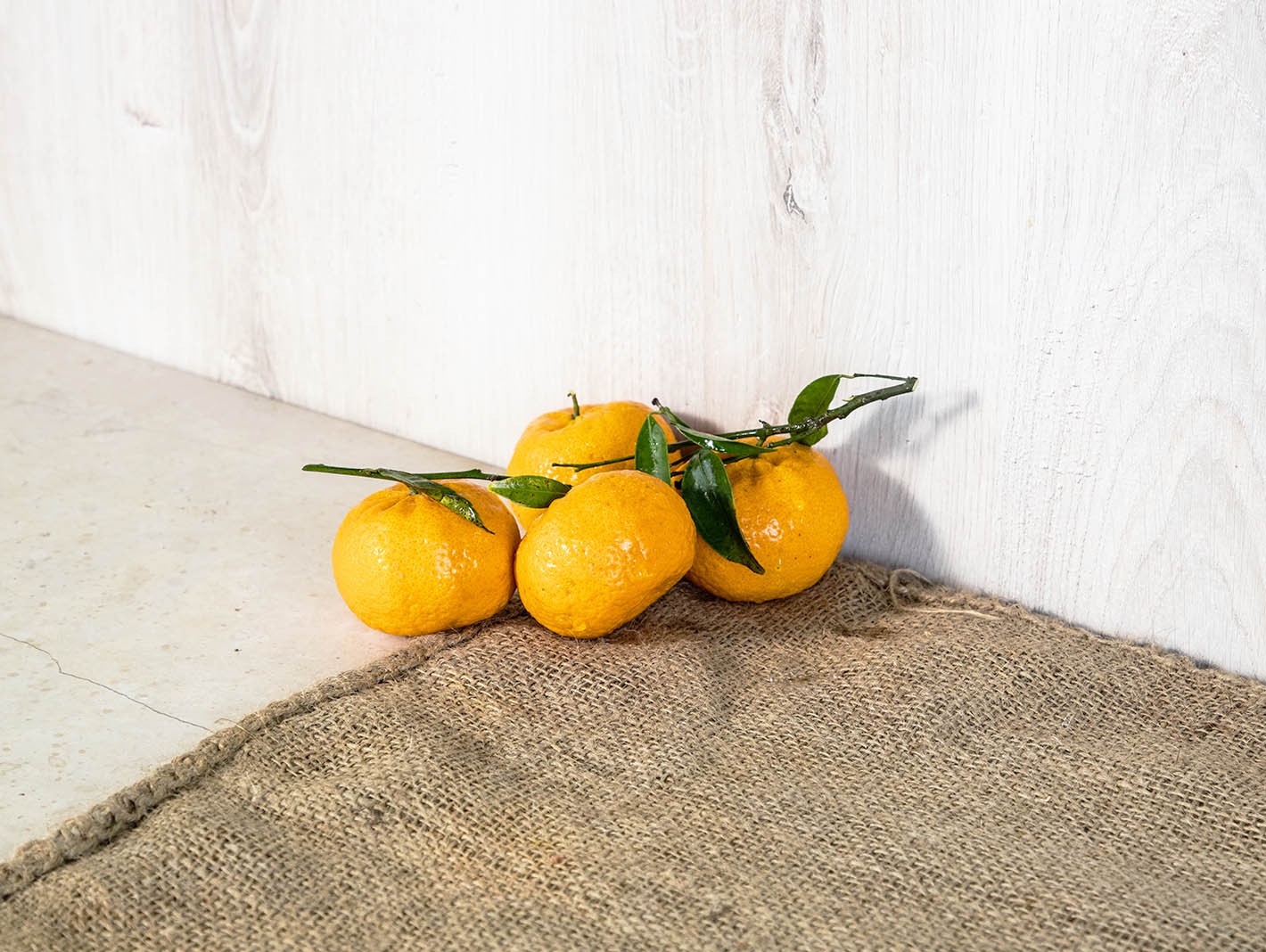 OranFrutta Tangerine